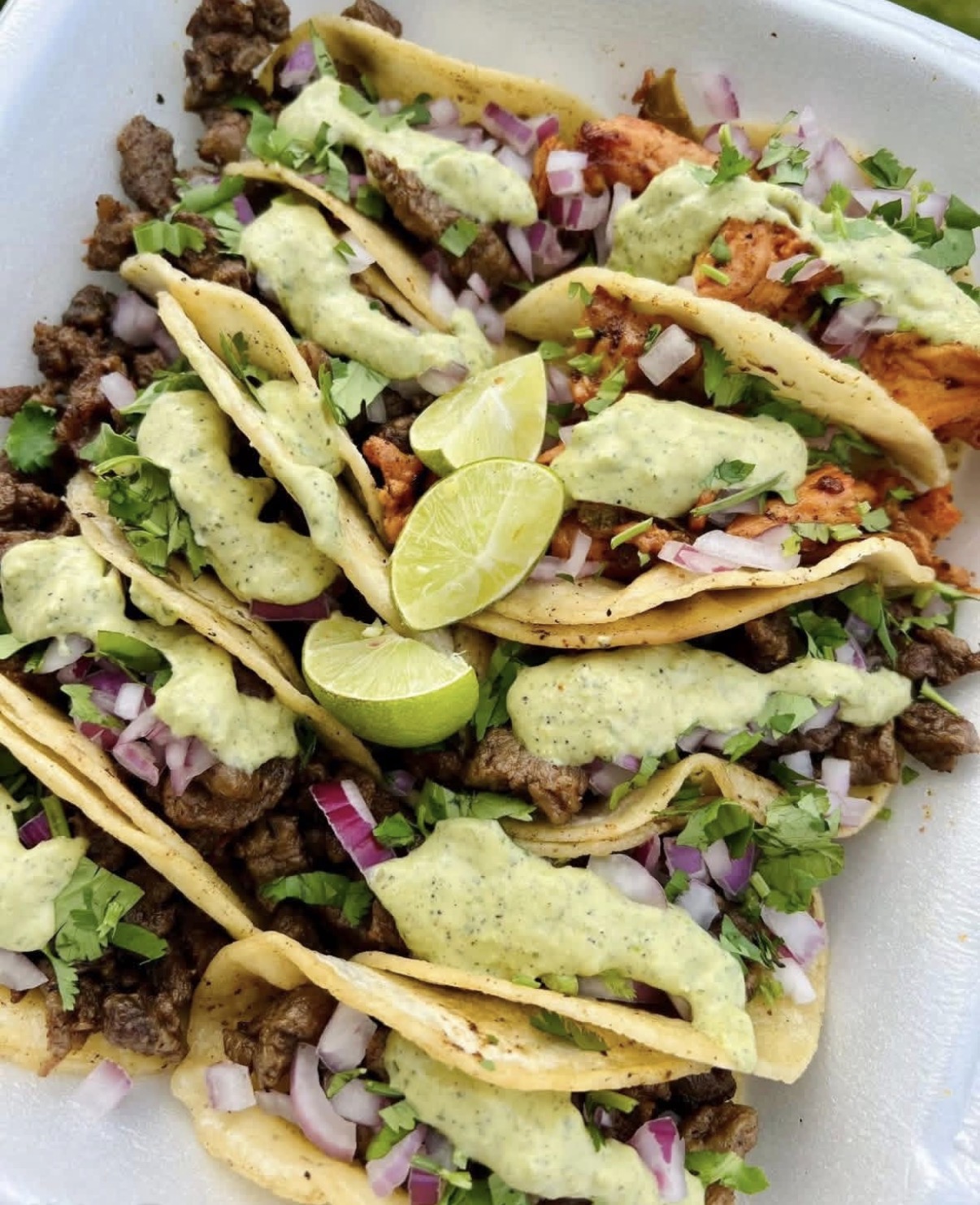 Vatos Tacos platter — slow-braised meats on hand-pressed tortillas with cilantro, onion, and lime